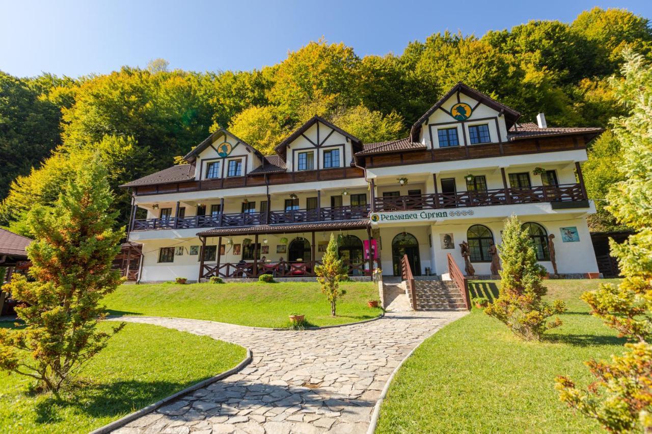 Pensiunea Ciprian Curtea de Argeş Exterior foto
