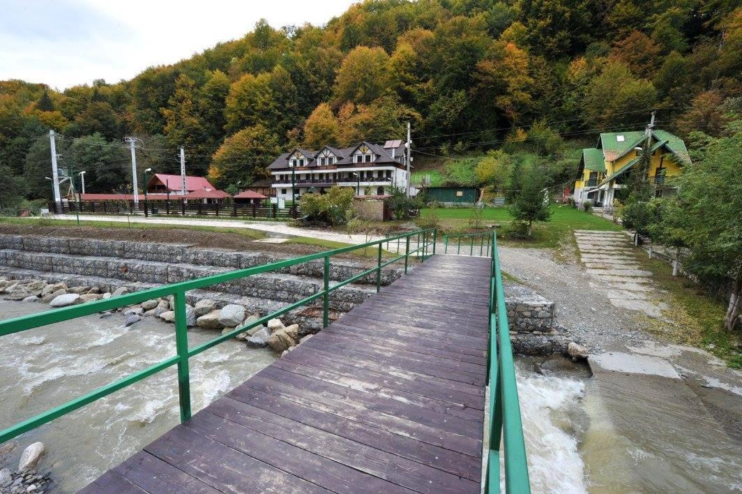 Pensiunea Ciprian Curtea de Argeş Exterior foto